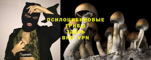 твердый Карталы