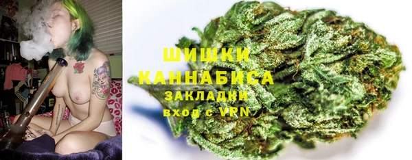 ПСИЛОЦИБИНОВЫЕ ГРИБЫ Арсеньев