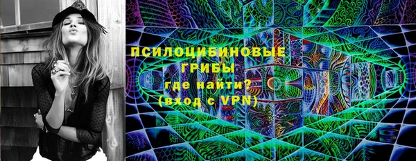 ПСИЛОЦИБИНОВЫЕ ГРИБЫ Арсеньев