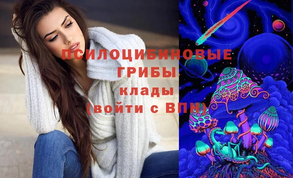 кокс Карпинск