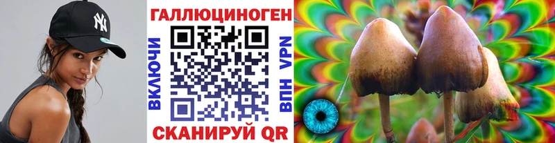 Купить  Струнино  Галлюциногенные грибы мицелий 